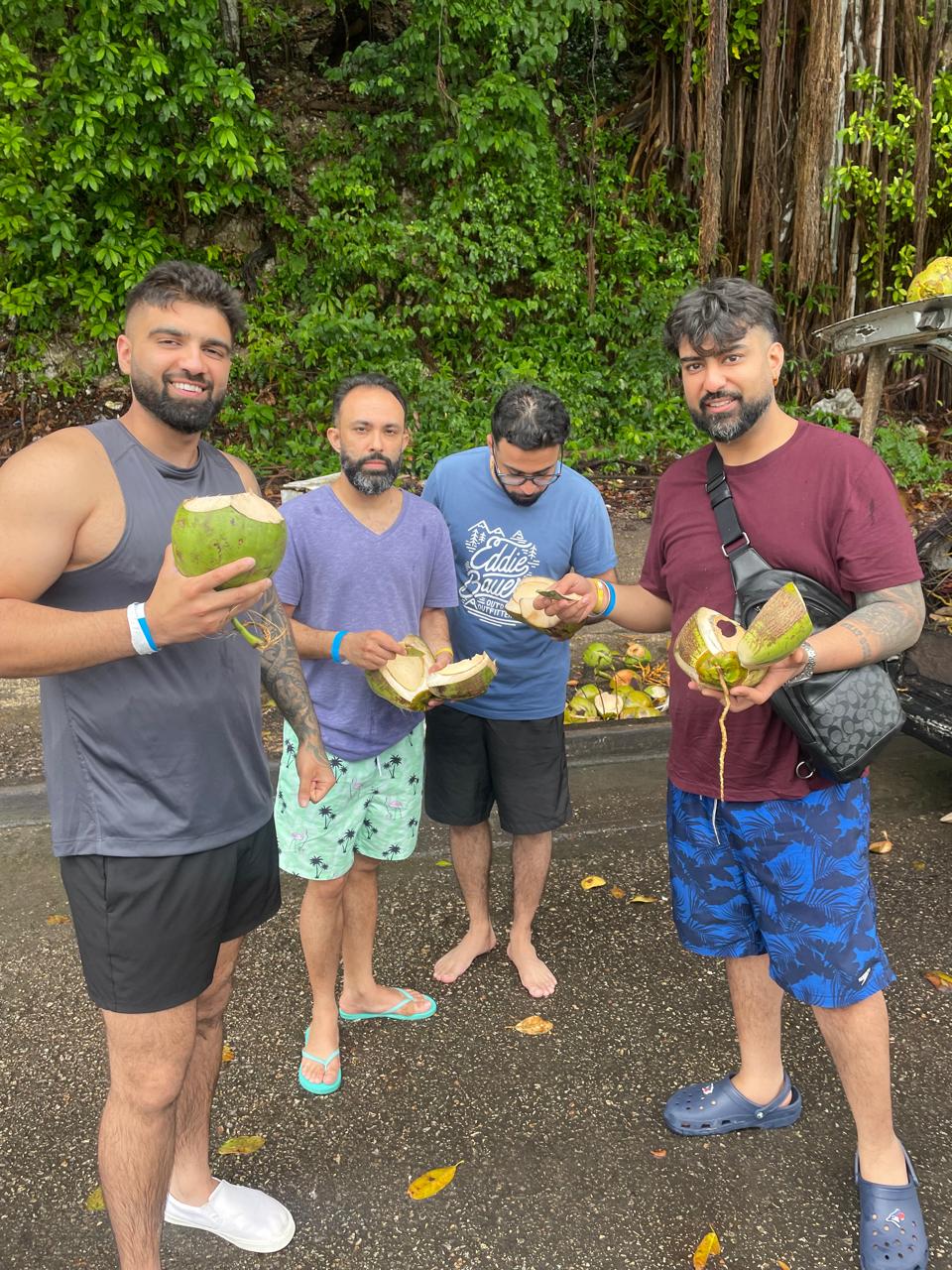 Fresh Coconuts Ocho Rios Sightseeing Tour